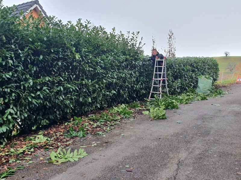 gartenunterhalt gartenservice regelmaessige pflege garten in voller pracht